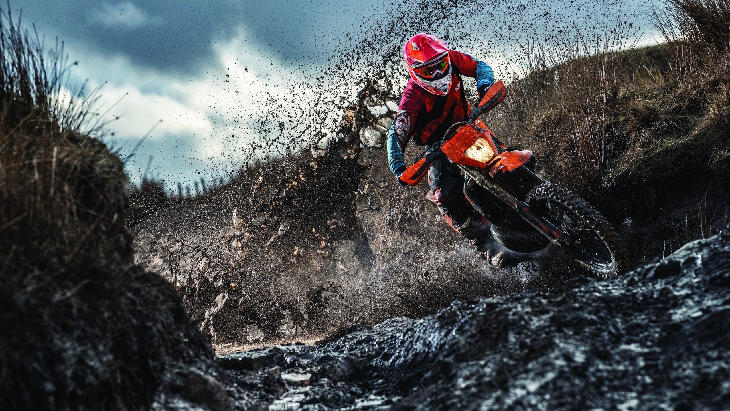 球迷文化:从传统到数字的完美融合,球迷语言